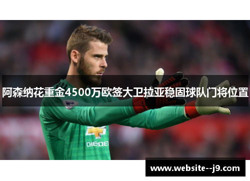 阿森纳花重金4500万欧签大卫拉亚稳固球队门将位置