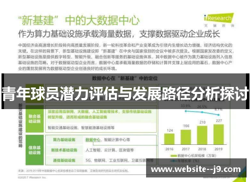 青年球员潜力评估与发展路径分析探讨